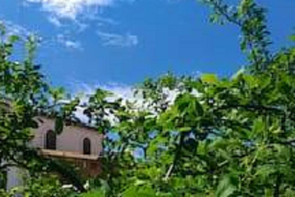 Il Gelsomino Home Holiday Alcamo Exterior photo